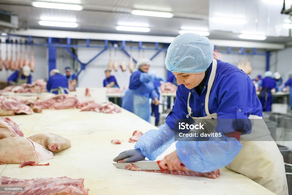 Lire la suite à propos de l’article Sécurité en usine de découpe de viande : une priorité quotidienne