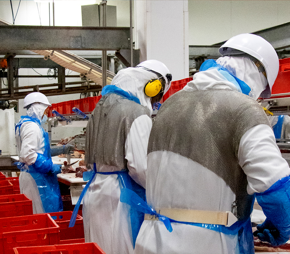 Lire la suite à propos de l’article Sécurité en usine de découpe de viande : une priorité quotidienne